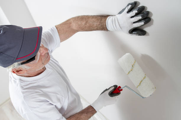 Best Drywall Crack Repair  in Ironwood, MI